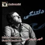 دانلود آهنگ امیر وزیری به نام دلتنگی