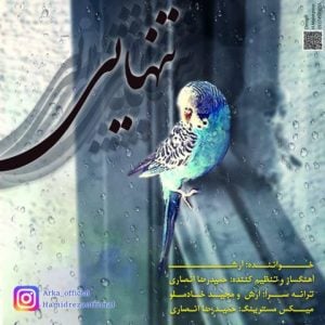 دانلود آهنگ آرش به نام تنهایی