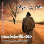 دانلود آهنگ مسلم جعفری به نام کلاغ رو سیاه 2 - 