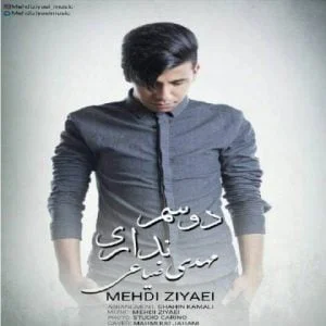 دانلود آهنگ مهدی ضیاعی به نام دوسم نداری