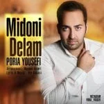 دانلود آهنگ پوریا یوسفی به نام میدونی دلم