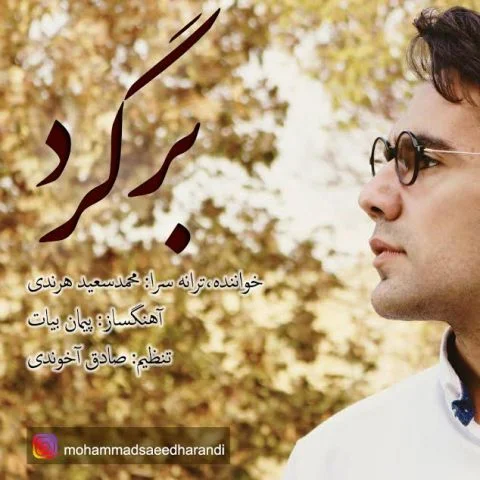 دانلود آهنگ محمد سعید هرندی به نام برگرد