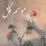 دانلود آهنگ حمید سبزیان به نام موسم گل