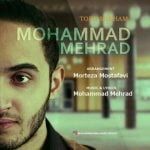 دانلود آهنگ محمد مهراد به نام تو رو میخوام