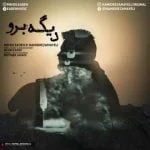 دانلود آهنگ مهدی ایده و حمیدرضا مایلی به نام دیگه برو