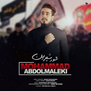 دانلود آهنگ محمد عبدالملکی به نام شور شیرین