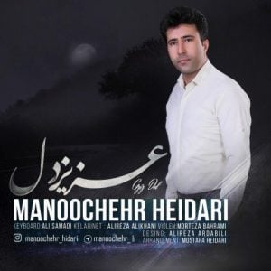 دانلود آهنگ منوچهر حیدری به نام عزیز دل