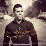دانلود آهنگ احمد فیاضی به نام دلخوشی