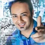 دانلود آهنگ رضا غلامی به نام عاشقت میمونم