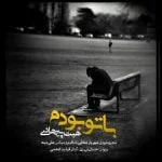 دانلود آهنگ هبت پیرهادی به نام با تو بودم - 