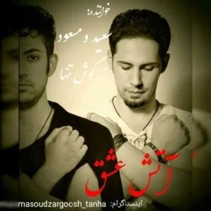 سعید و مسعود زرگوش تنها