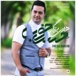 دانلود آهنگ هادی برزگر به نام حس خوب
