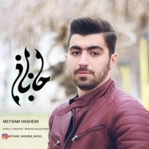 دانلود آهنگ میثم هاشمی به نام جانان