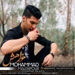 دانلود آهنگ محمد ملک پور به نام خواهش - 