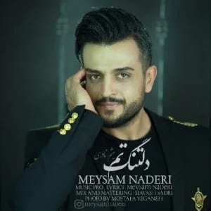 دانلود آهنگ میثم نادری به نام دلتنگنم