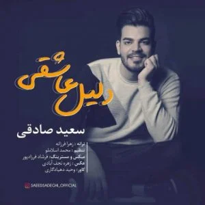 دانلود آهنگ سعید صادقی به نام دلیل عاشقی