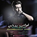 دانلود آهنگ محمدرضا شمس به نام خواب رویایی