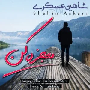دانلود آهنگ شاهین عسکری به نام معجزه کن