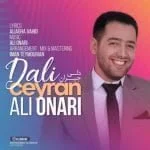 دانلود آهنگ علی اناری به نام دلی جیران