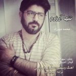 دانلود آهنگ محمد مهرزاد به نام تنها آرزوم