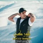 دانلود آهنگ داوود توکلی به نام باور کن - 