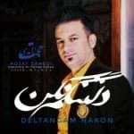 دانلود آهنگ حجت زاهدی به نام دلتنگم نکن - 