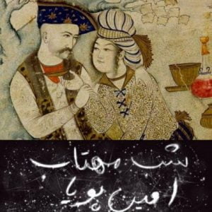 دانلود آهنگ امین پویا به نام شب مهتاب