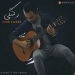 دانلود آهنگ امید طالبی به نام دلتنگی - 