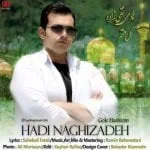 دانلود آهنگ هادی نقی زاده به نام گل هشتم