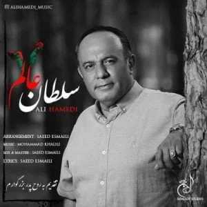 دانلود آهنگ علی حامدی به نام سلطان عالم