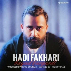 هادی فخاری