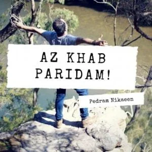 دانلود آهنگ پدرام نیک آیین به نام از خواب پریدم