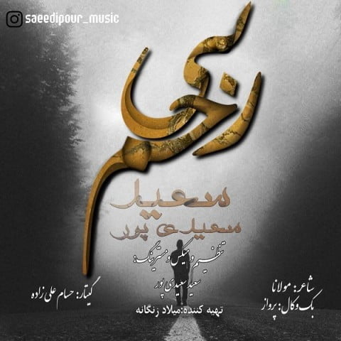 دانلود آهنگ سعید سعیدی پور به نام بی رحم
