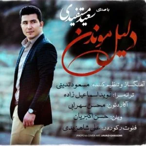 سعید مستفیدی