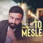 دانلود آهنگ الیاس محمودی به نام مثل تو