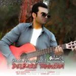 دانلود آهنگ هادی نقی زاده به نام دلبر طنازم