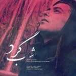 دانلود آهنگ مهران فهیمی به نام شبگرد