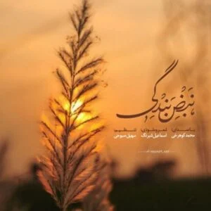 دانلود آهنگ محمد کوهرخی به نام نبض بندگی‌
