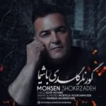 دانلود آهنگ محسن شکرزاده به نام گور نلر گلدی باشیما