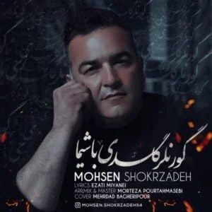 دانلود آهنگ محسن شکرزاده به نام گور نلر گلدی باشیما