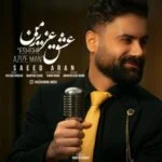 دانلود آهنگ سعید آران به نام عشق عزیز من