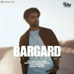 دانلود آهنگ علی قاسمی به نام برگرد