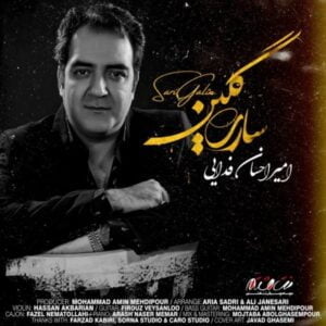 دانلود آهنگ امیر احسان فدایی به نام ساری گلین