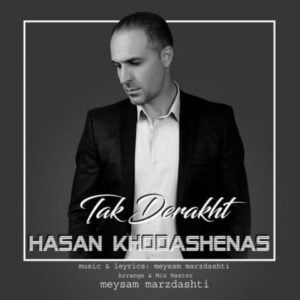 دانلود آهنگ حسن خداشناس به نام تک درخت