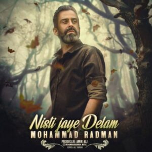 دانلود آهنگ محمد رادمان به نام نیستی جای دلم