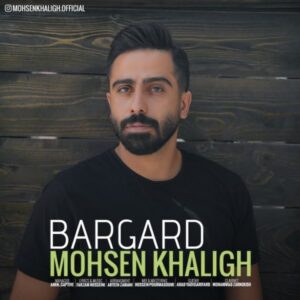 دانلود آهنگ محسن خلیق به نام برگرد