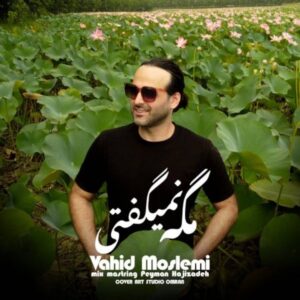 دانلود آهنگ وحید مسلمی به نام مگه نمی گفتی