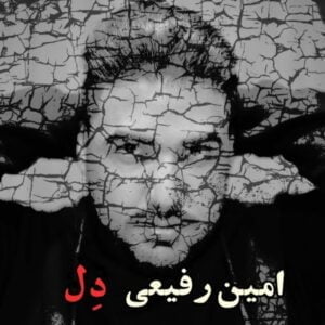 دانلود آهنگ امین رفیعی به نام دل