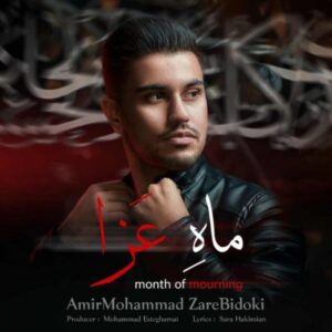 دانلود آهنگ امیرمحمد زارع بیدکی به نام ماه عزا