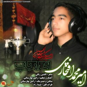 دانلود آهنگ امیرمحمد افتخاری به نام ای ارباب